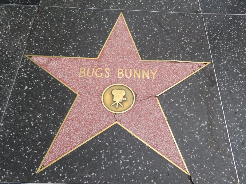 One of the Walk of Fame Stars